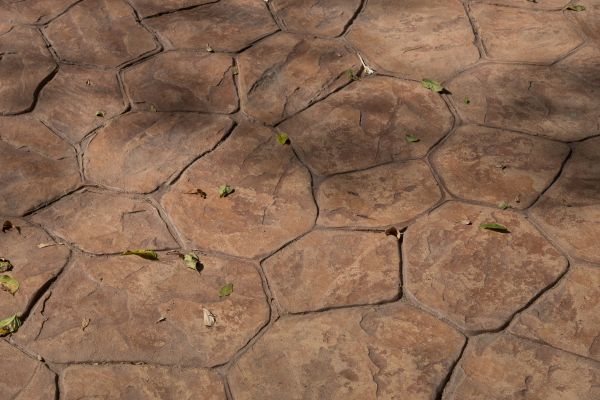 Cost of Concrete Texturing in Garner