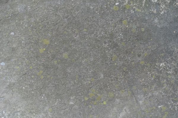 Cost of Slab Staining Service in Garner